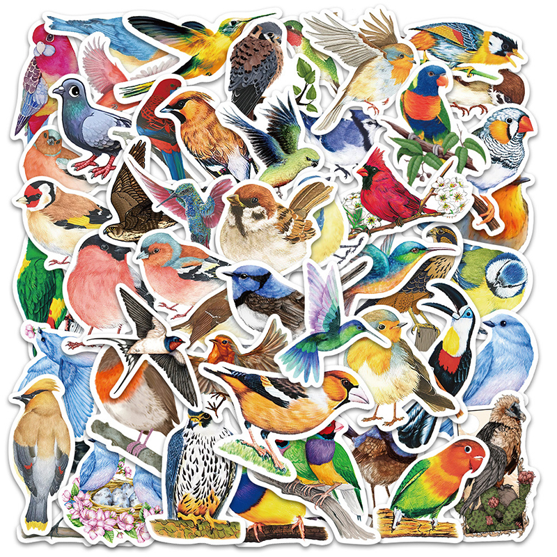 50PCS Watercolor Bird Graffiti - Phone Cases Kids recensie en prijs