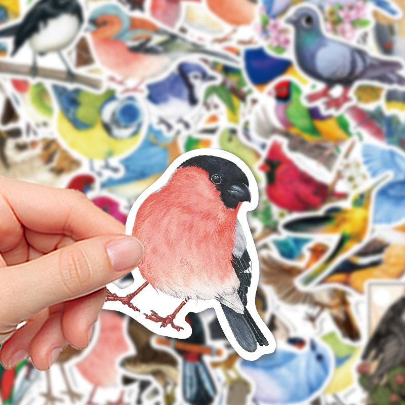 50PCS Watercolor Bird Graffiti - Phone Cases Kids recensie en prijs
