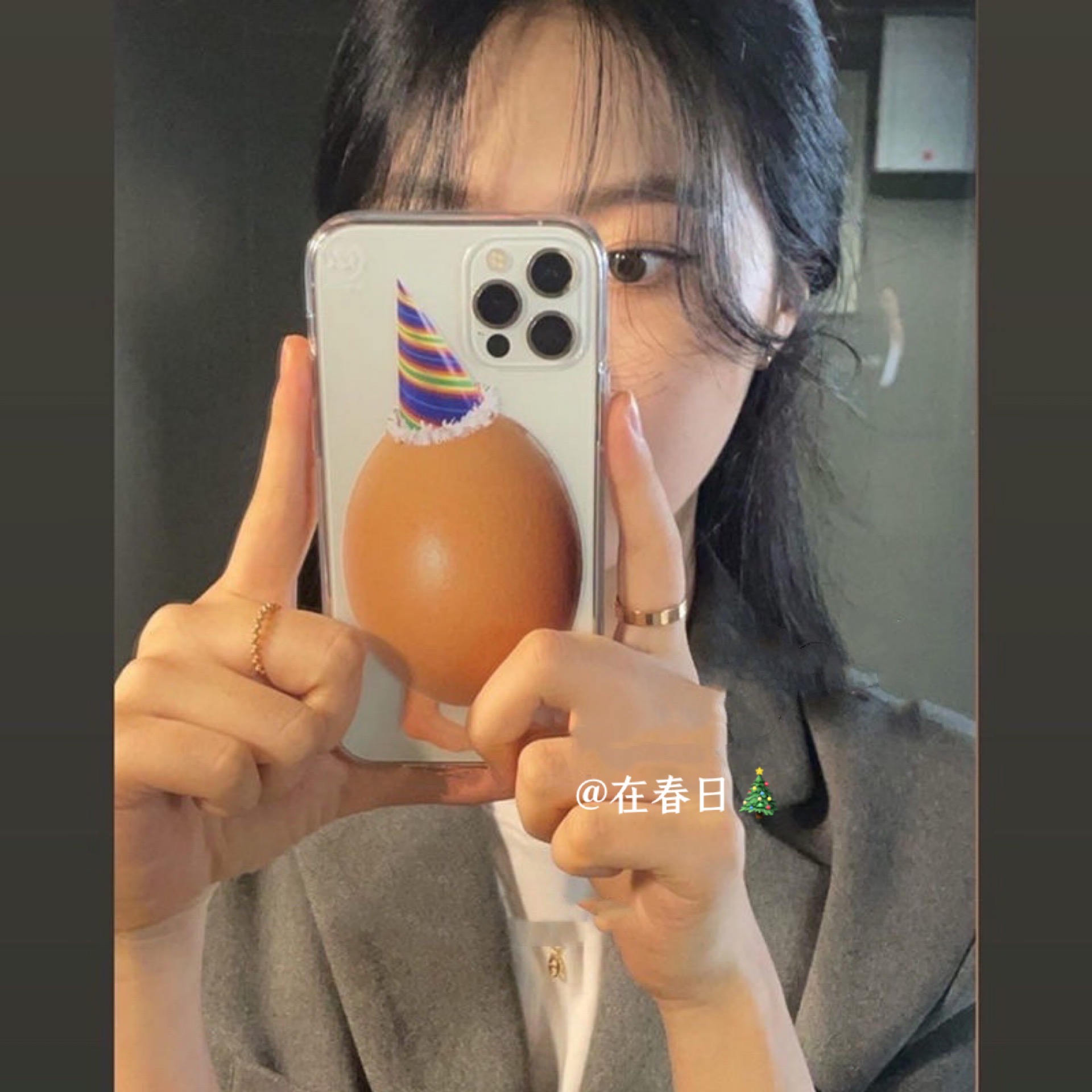 Korean Ins Christmas Hat Egg C - Phone Cases Y2K recensie en prijs